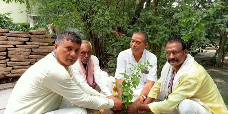 *अधिक से अधिक पौधे लगाने से ही स्वच्छ होगा वातावरण: वृक्ष बंधु डॉ.परशुराम सिंह*
