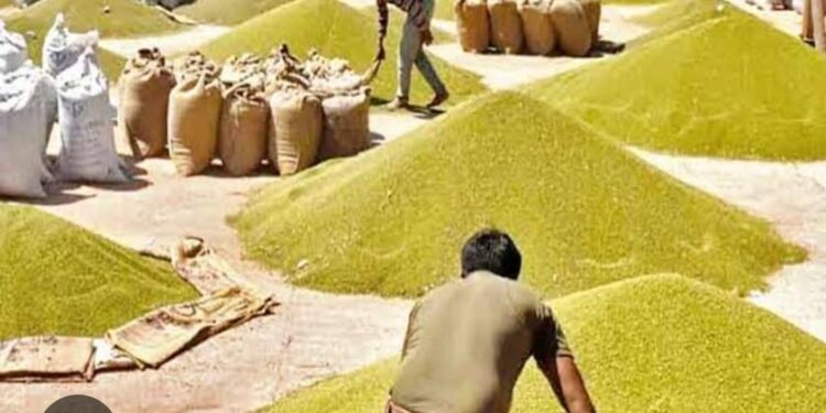 सरकारी मूंग खरीदी पर रसूखदार वेयरहाउसों में गड़बड़झाला की खबर से मचा हड़कंप!कलेक्टर के निर्देश पर अधिकारियों की जांच टीम ने पकड़ी गड़बड़ी,हो सकती है FIR…?वीडियो