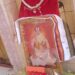 श्रद्धा भाव से मनाया गुरुपूर्णिमा महोत्सव*