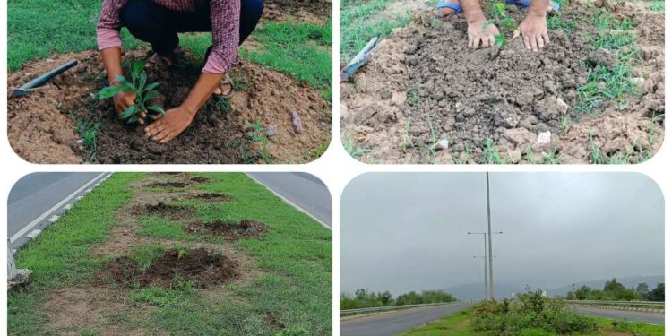 पर्यावरण प्रेमी संतोष मिश्रा ने भोपाल नागपुर फोरलेन मार्ग पर दोस्तों के साथ पौधरोपण का चलाया अभियान,शहर में पर्यावरण संरक्षण सहित मां के नाम एक पेड़ अभियान के तहत निरंतर लगाए जा रहे पौधे.. देखिए खास खबर