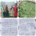 महिलाओं ने असामाजिक तत्वों से निजात दिलाने की लगाई गुहार,पुलिस नहीं कर रही कार्रवाई!,राज्यसभा सांसद माया नारोलिया को परेशान महिलाओं ने शराबियों,असामाजिक तत्वों की दहशत से कराया अवगत…