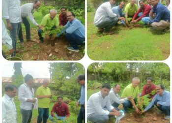 मुख्य जिला चिकित्सा अधिकारी ने किया वृक्षारोपण