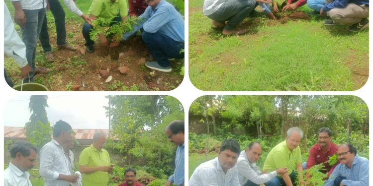 मुख्य जिला चिकित्सा अधिकारी ने किया वृक्षारोपण