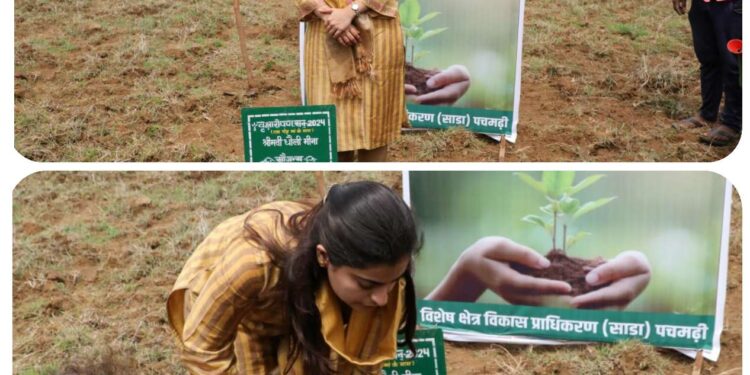 कलेक्टर सोनिया मीना ने एक पौधा मां के नाम अभियान के अंतर्गत पचमढ़ी में किया पौधारोपण