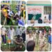 हमने सबने ठाना है हर हाथ से एक पौधा लगाना है   राजेंद्र नगर पार्क में विभिन्न प्रजाति के 350 पौधों का रोपण किया   नपा अध्यक्ष, एसपी, जिला अध्यक्ष, जन प्रतिनिधि और पार्षद रहे शामिल