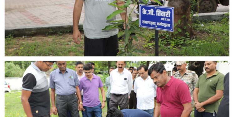 कमिश्नर श्री तिवारी ने एक पेड़ मां के नाम अभियान के तहत किया पौधारोपण