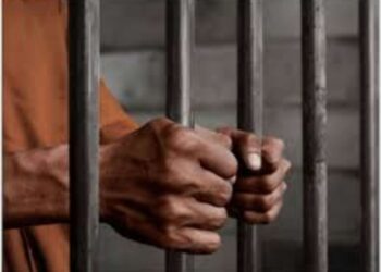डोंडाचूरा रखने वाले बाप-बेटे एवं उनके ड्राईवर को हुई 14-14 साल की सजा एवं 1-1 लाख का जुर्माना कुल 175 क्वींटल डोंडाचूरा जप्त हुआ