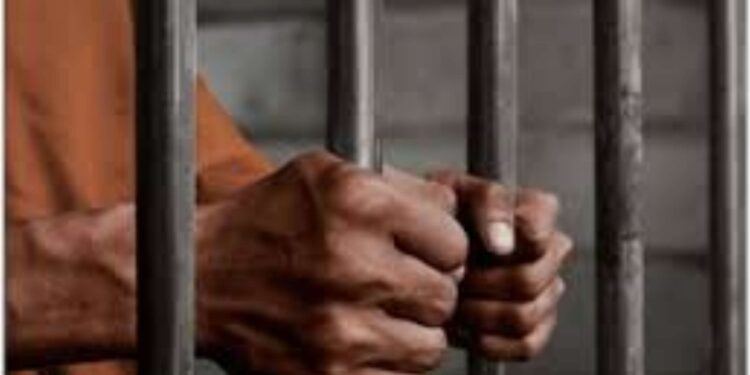 डोंडाचूरा रखने वाले बाप-बेटे एवं उनके ड्राईवर को हुई 14-14 साल की सजा एवं 1-1 लाख का जुर्माना कुल 175 क्वींटल डोंडाचूरा जप्त हुआ