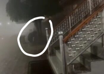 मंदिर में भालुओं का डेरा दहशत में दर्शन करने आ रहे श्रद्धालु, देखें Video