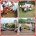 *स्वच्छता में उत्कृष्ट प्रदर्शन करने वाले सफाई मित्रो का सम्मान समारोह*