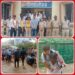 सागर पुलिया के नीचे तेज बारिश मे बच्चो से भरी बस से रेस्क्यू कर बाहर निकालने पर यातायात प्रभारी राहुल पांडे ने पुष्प हार माला पहनाकर किया सम्मान देखिऐ VIDEO