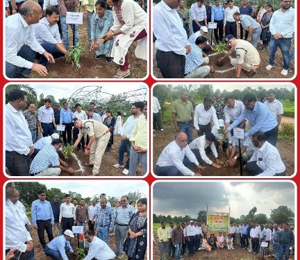 एक पेड मां के नाम अभियान” के अंतर्गत कलेक्टर श्री सिंह एवं पुलिस अधीक्षक श्री खत्री द्वारा शासकीय उद्यान रोपणी जमुनिया में आम एवं काजू के लगाये गये पौधे