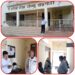*कलेक्टर के निर्देश पर अधिकारियों ने आज प्रातः 10 बजे शासकीय कार्यालयों में पहुंच कर किया औचक निरीक्षण*  बडवारा तहसील कार्यालय का निरीक्षण करते हुए डिप्टी कलेक्टर विवेक गुप्ता