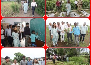 कस्टम हायरिंग सेंटर को प्रशिक्षण एवं प्रदर्शन केन्द्र के रूप में विकसित करें – कलेक्टर सुश्री बाफना खेतों में जाकर कलेक्टर ने फसलों का अवलोकन किया