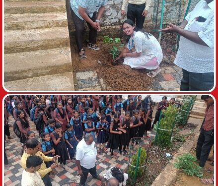 शासकीय कन्या उच्चतर माध्यमिक विद्यालय उमरियापान में पौधारोपण