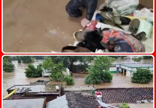 दो दिन की बारिश मे ढीमरखेड़ा पिपरिया ब्लाक के लोग छत पर रहने को मजबूर , बाढ़ मे डूबा घर द्वार देखिऐ VIDEO