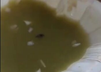 देखें वायरल VIDEO MP नगर स्थित मनोहर डेरी में पानी पुरी में निकली मख्खी,