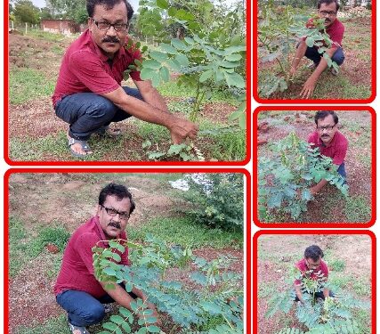 एक पेड़ माँ के नाम अभियान के तहत एम पी न्यूज कास्ट संपादक ने गुरुआश्राम में किया गया पौधरोपण