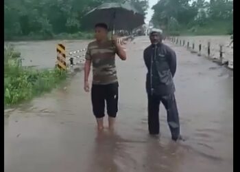 सुल्तानपुर (रायसेन) पलकमती नदी उफान पर,  बाड़ी मार्ग हुआ बंद, जगह जगह भरा पानी, देखें VIDEO