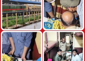 सीहोर जिले में हुई दुर्घटना में घायल बाघ शावकों को उपचार हेतु स्पेशल ट्रेन से भोपाल लाया गया है। इस मामले में जिला प्रशासन की संवेदनशीलता सराहनीय है।