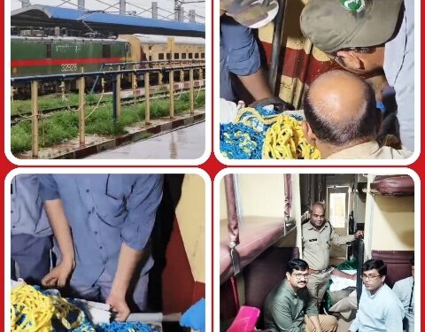 सीहोर जिले में हुई दुर्घटना में घायल बाघ शावकों को उपचार हेतु स्पेशल ट्रेन से भोपाल लाया गया है। इस मामले में जिला प्रशासन की संवेदनशीलता सराहनीय है।