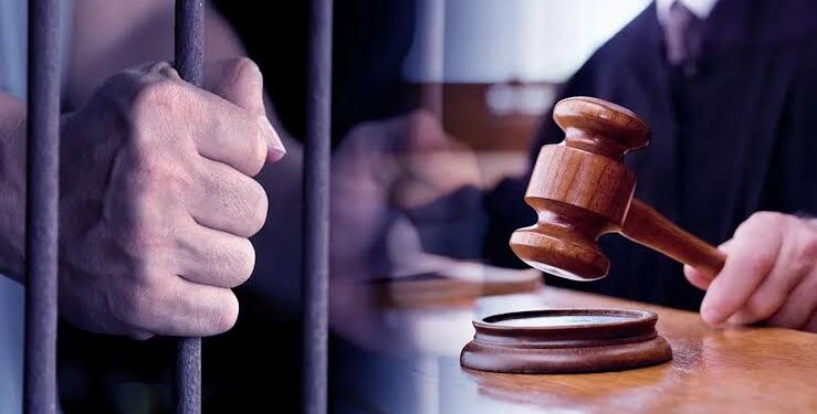 न्यायालय द्वारा शराब पीने के लिए पैसे मॉगने एवं मारपीट करने वाले आरोपी को 01 वर्ष के सश्रम कारावास की सजा से दण्डित किया गया।