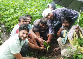 *हरियाली अमावस्या मित्र मिलन ग्रुप के द्वारा 51 पौधे लगाए गए*