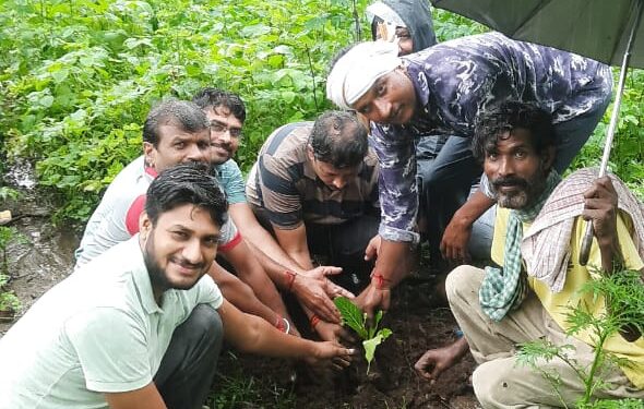 *हरियाली अमावस्या मित्र मिलन ग्रुप के द्वारा 51 पौधे लगाए गए*