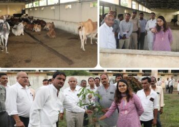 कलेक्टर सुश्री ऋजु बाफना की उपस्थिति में सरपंच लखन मेवाड़ा ने किया वृक्षारोपण..।