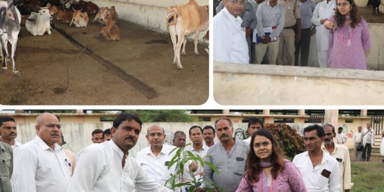 कलेक्टर सुश्री ऋजु बाफना की उपस्थिति में सरपंच लखन मेवाड़ा ने किया वृक्षारोपण..।