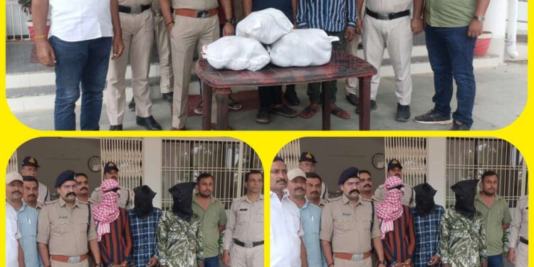 *अवैध मादक पदार्थ के विरूद्ध कोतवाली पुलिस की एक और बड़ी कार्यवाही* *दो आरोपियों के कब्जे से 01 लाख 60 हजार का करीब 16 कि.ग्रा. गांजा बरामद*