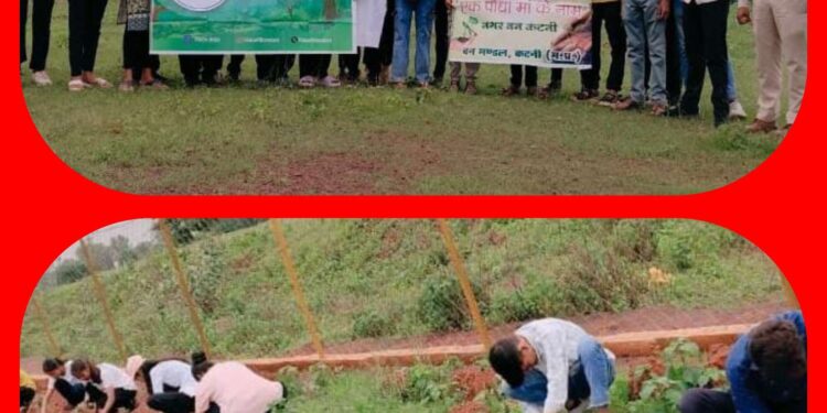 नगर वन में रोपे पौधे, पर्यावरण संरक्षण हेतु युवाओं ने की पहल…