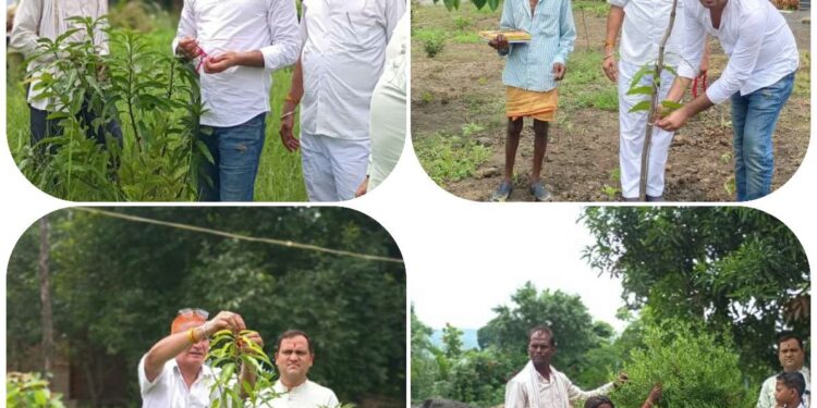 सिलौंडी उप तहसील भवन वृक्षों को राखी बांधकर उनकी रक्षा का संकल्प