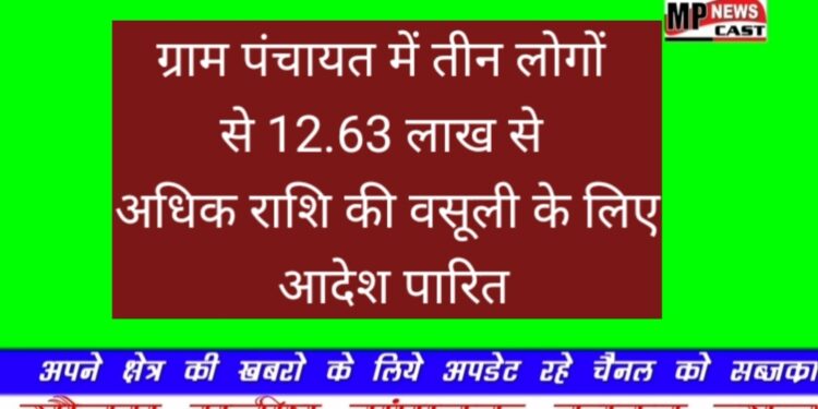ग्राम पंचायत में तीन लोगों से 12.63 लाख से अधिक राशि की वसूली के लिए आदेश पारित