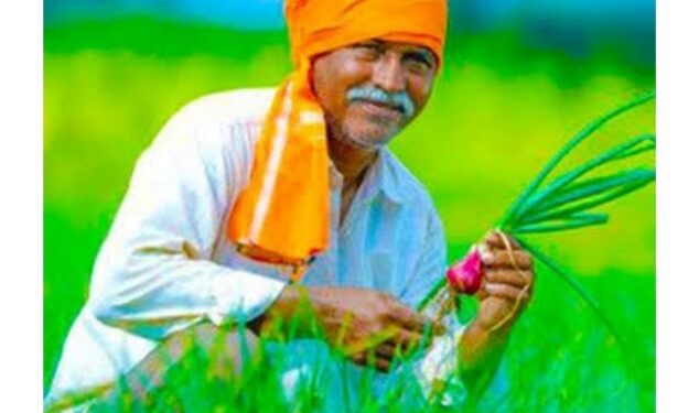 अब 16 अगस्त तक किसान करा सकेंगे फसलों का बीमा  फसलों के बीमा कराने की अंतिम तिथि बढ़ाई गई