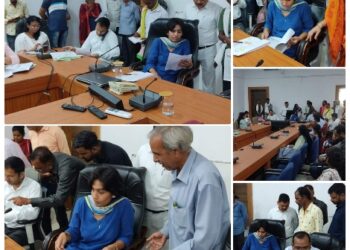 जिलास्तरीय जनसुनवाई में प्राप्त हुए 110 आवेदन