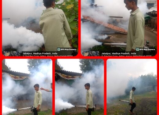 *डेंगू मलेरिया की रोकथाम के लिए नगर निगम का अभियान तेज*  *आज पूरे शहर में एक साथ कराया गया कीटनाशक दवाओं का छिड़काव*