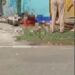 पत्नी ने पति को दी दर्दनाक मौत  ईंट से कुचला सिर, शव पर बैठी; पुलिस पहुंची VIDEO