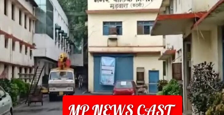 *निराश्रित गौ–वंशो संबंधी कार्यवाही में लापरवाही पड़ी भारी, नगर निगम कटनी के एक कर्मचारी की सेवा समाप्त, दूसरा हुआ निलंबित*