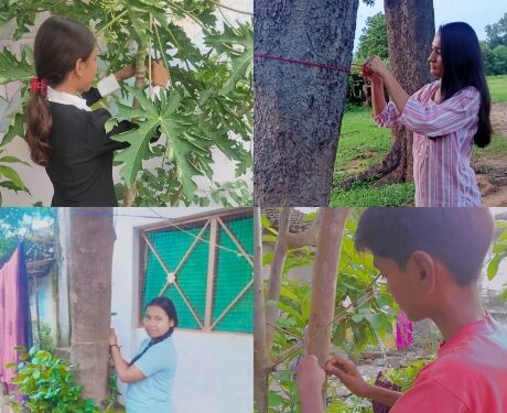 वृक्षों को बांधी राखी, लिया रक्षा करने का संकल्प