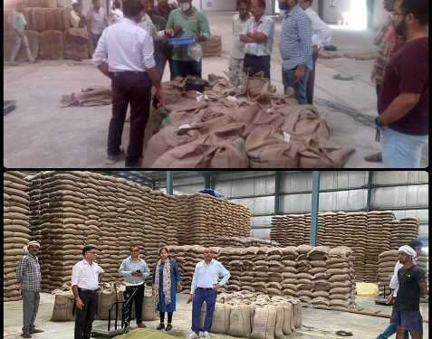 अमानक रखी मूँग वापस कराई.  कृषि अधिकारियों ने किया मूंग उपार्जन केन्द्रों का निरीक्षण.