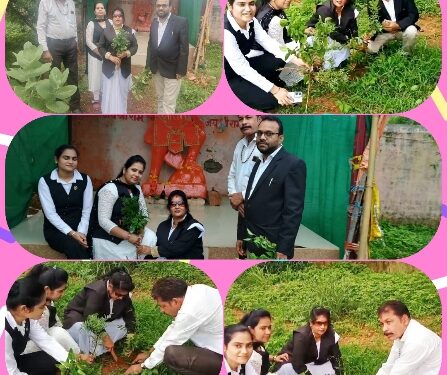 *समाजसेवी व अधिवक्ता रेखा अंजू तिवारी के नेतृत्व मे जिला सत्र न्यायालय स्थित हनुमान मंदिर परिसर मे एक पेड़ न्याय के नाम पौधारोपण किया गया*….