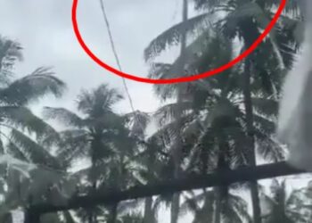 राष्ट्रीय ध्वज फहराते वक्त उसकी गांठ अटक गई तभी एक पक्षी आता है और गांठ को खोल देता है और तिरंगे को लहरा देता है वायरल वीडियों