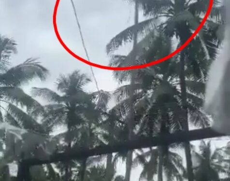 राष्ट्रीय ध्वज फहराते वक्त उसकी गांठ अटक गई तभी एक पक्षी आता है और गांठ को खोल देता है और तिरंगे को लहरा देता है वायरल वीडियों