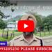 पुलिस अधीक्षक नर्मदापुरम डॉ. गुरकरन सिंह द्वारा नागपंचमी के अवसर पर नागद्वारी मेले में लगे पुलिस बल एवं सुरक्षा व्यवस्था का निरीक्षण किया गया