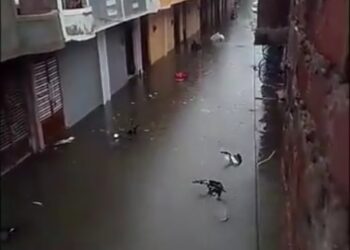 भोपाल  लगातार बारिश के बाद कई इलाकों में जलभराव, पुराने शहर के निचले इलाकों में तीन से 5 फीट तक भरा पानी, घरों के बाहर खड़ी गाड़ियां डूबीं VIDEO