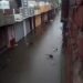 भोपाल लगातार बारिश के बाद कई इलाकों में जलभराव, पुराने शहर के निचले इलाकों में तीन से 5 फीट तक भरा पानी, घरों के बाहर खड़ी गाड़ियां डूबीं VIDEO