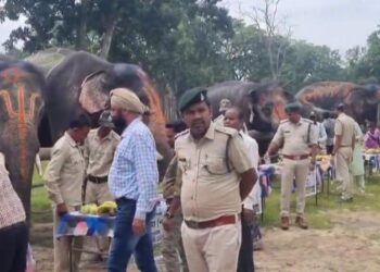 बांधवगढ़ टाइगर रिजर्व में हाथियों की पिकनिक शुरू,स्वादिष्ट भोजन स्वास्थ्य परीक्षण आराम के साथ बीतेंगे सात दिन,बीटीआर में 9 नर,4 मादा,3 बच्चे हाथी VIDEO
