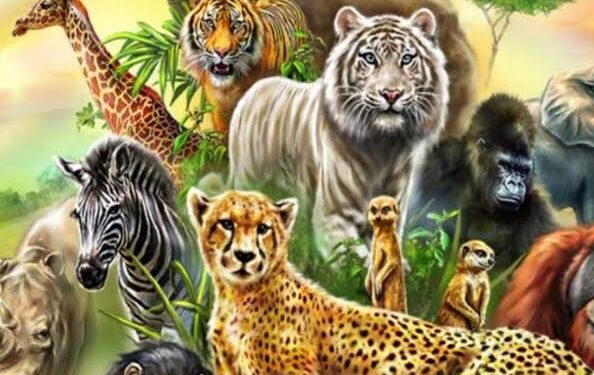 वन्य प्राणियों द्वारा की जाने वाली जन हानि पर क्षतिपूर्ति राशि निर्धारित