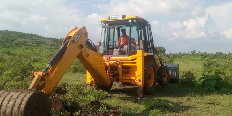 वन विभाग के द्वारा लिया गया बड़ा निर्णय